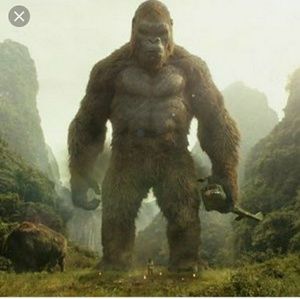 Meet your Posher, Lizzy